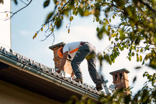Best Commercial Roofing Services  in Grayling, MI