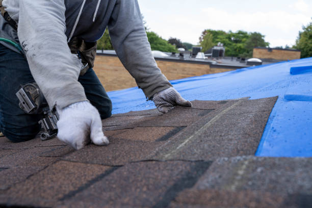 Best Metal Roofing Contractor  in Grayling, MI