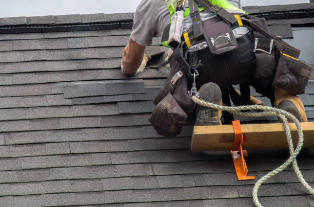 Best Roof Gutter Cleaning  in Grayling, MI