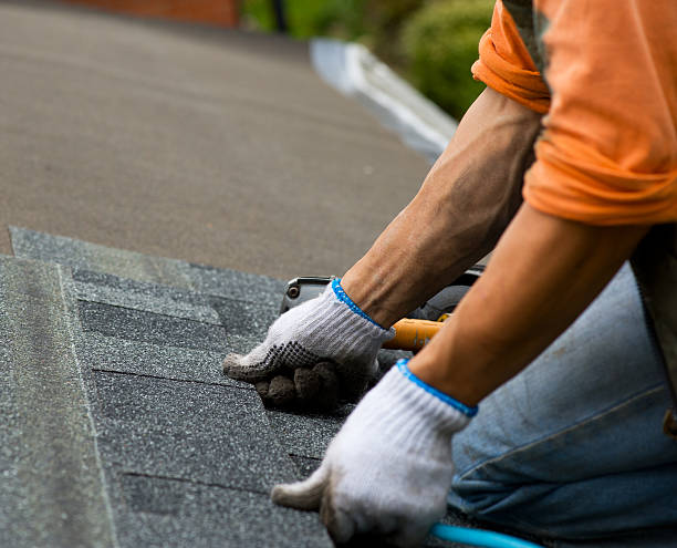 Professional Roofing Contractor in Grayling, MI