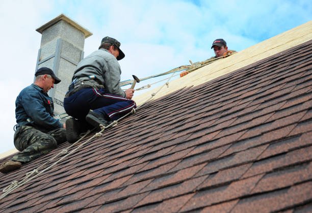Best New Roof Installation  in Grayling, MI